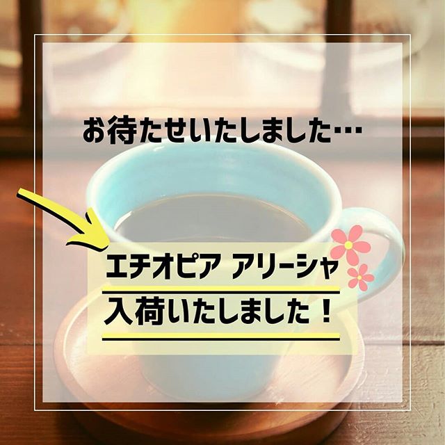 遂に!!! 不動の人気を誇ってきたエチオピア・アリーシャが久しぶりに南谷茶房に戻ってきました!